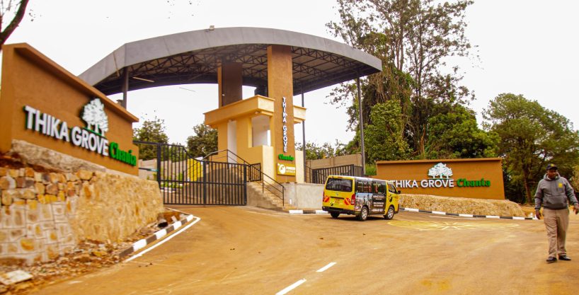 thika grove chania
